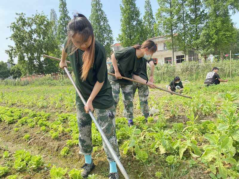 湖北省宜昌市是否有青少年儿童行为改正学校(图2)